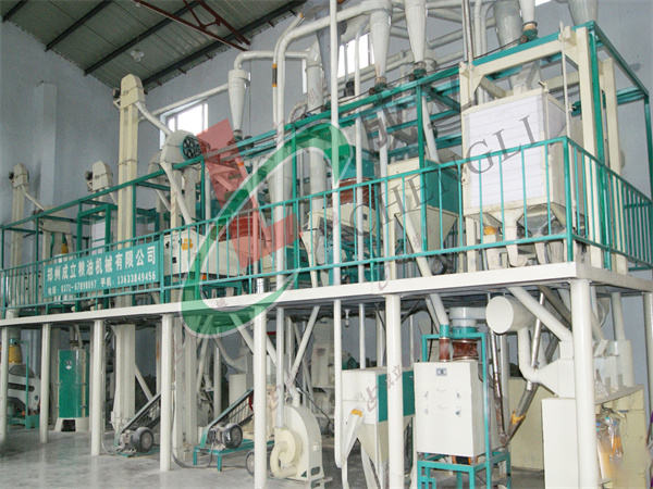 FTA-50-60型丝瓜黄色网站深加工设备